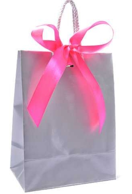Kadotasje Sora Zilver Glans & Koord & Lintgleuf 15x9x20cm 10stuks