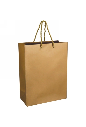 Kadotasjes Goud Mat Met Koord 22x10x29cm 25stuks
