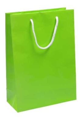 Kadotasjes Rome Uni Groen Glanzend Met Koord 22x10x31cm 10stuks