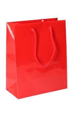 Kadotasjes Rome Uni Rood Glanzend Met Koord 20x10x25cm 10stuks