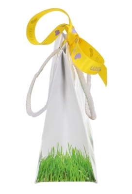 Kadotasjes Smal Paaseieren & Bloem Safran 16x7x15cm 10stuks