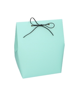 Kadozakjes Borgo Mintgroen 18x11.5x24.5cm 10stuks