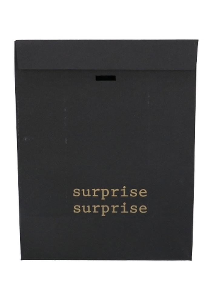 Kadozakjes Kraft Zupo Zwart Surprise & Lintgleuf 18x10x22cm 12stuks