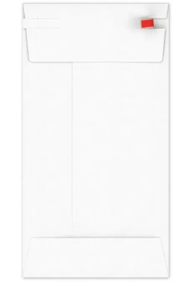 Kartonnen Verzendenveloppen Keulen 22x11cm 350grams 100stuks