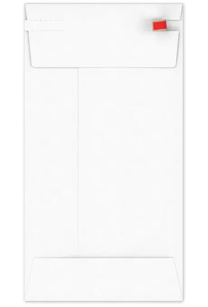 Kartonnen Verzendenveloppen Keulen 22x11cm 350grams 100stuks