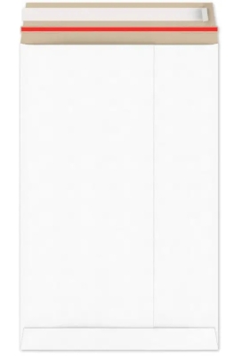 Kartonnen Verzendenveloppen Keulen 25.4x38.1cm 350grams 100stuks
