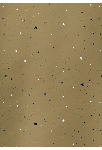 Kerstpapier Dessin 134 30cm x 200 meter