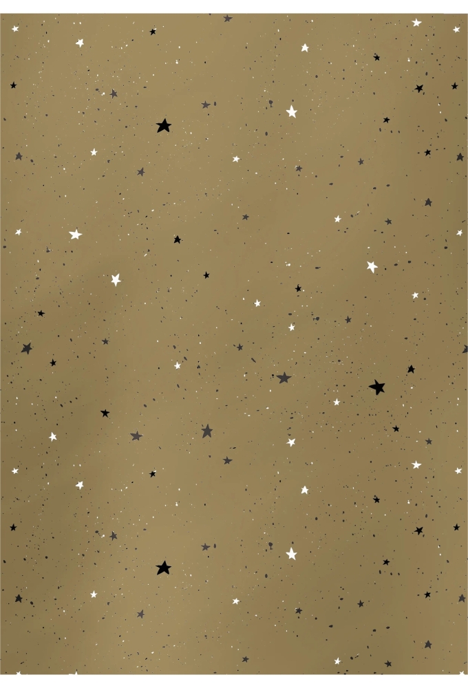 Kerstpapier Dessin 134 30cm x 200 meter