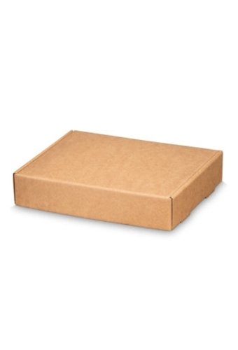 Klep Verzenddoos Pinto Groot Kraft 24.5x20x5cm 50stuks