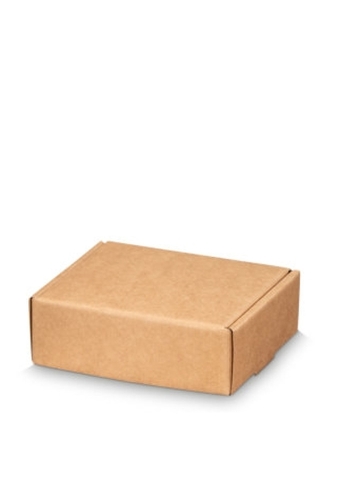 Klep Verzenddoos Pinto Smal Kraft 14.5x12x5cm 50stuks