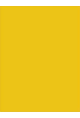 Kleur Katoenen Tas Geel 05 pms yellow