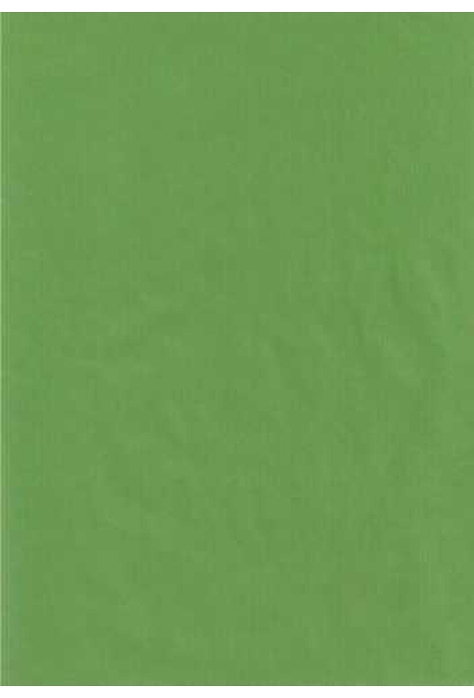 Kraft Bruin Inpakpapier Lime Groen 60gram 30cm x 250meter