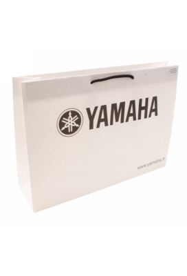 Kraft Tassen Bedrukken Met Logo 120GRAM & Koord 37x9x24cm