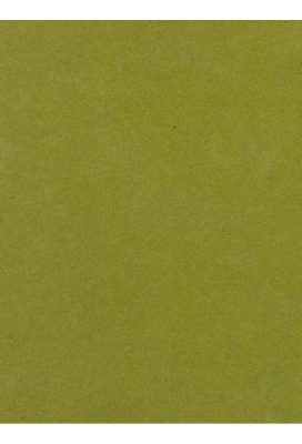 Kraftpapier Bruin recycled kraft uni olive green 50cm x 200meter
