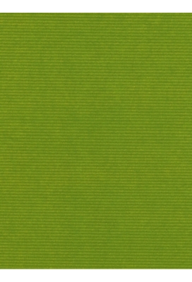 Kraftpapier Kraft Uni unicolor limegreen 70cm x 200meter