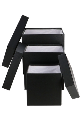 LUXE KANT & KLARE Flowerbox Latemar Zwart Groot Vierkant Set 3stuks