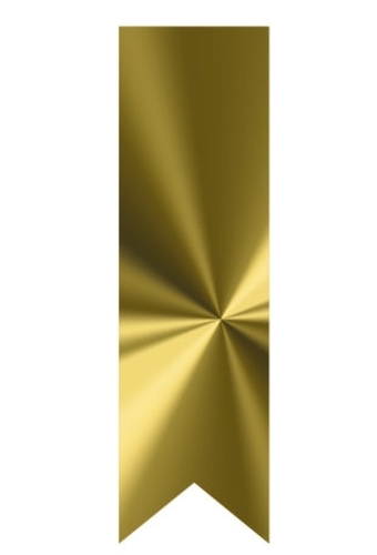 Langwerpig Vaandel Everyday Goud Metallic 2.5 x 8.5cm 250stuks