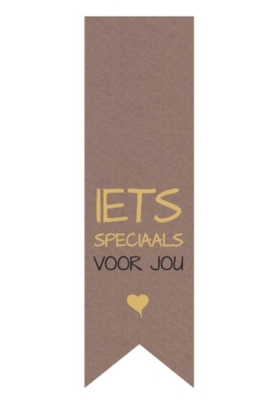 Langwerpig Vaandel Everyday Iets Speciaal Voor Jou 2.5x8.5cm 250st