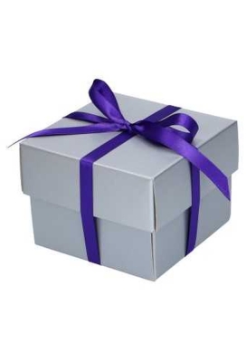 Luxe Geschenkdoos Torino Zilver Mat 12.3x12.3x9.7cm 25stuks OP IS OP