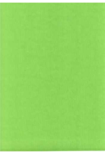 Luxe Kraft Dubbelzijdig Uni Appel Groen 70gram 50cm x 200meter