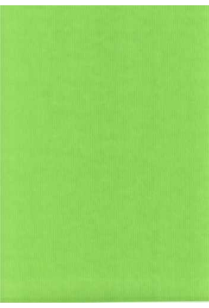 Luxe Kraft Dubbelzijdig Uni Appel Groen 70gram 50cm x 200meter