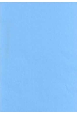 Luxe Kraft Dubbelzijdig Uni Aqua Blauw 70gr 70cm x 200meter