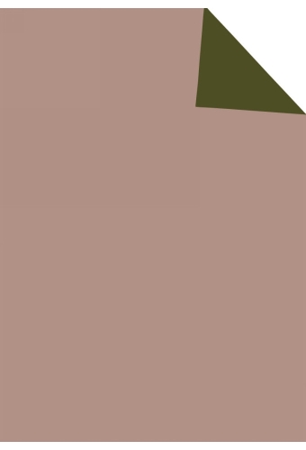 Luxe Kraft Dubbelzijdig Uni Lichtroze & Olijf 70gr 100cm x 200meter