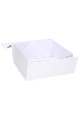 Luxe Magneetdozen Venetie Wit Mat Digitaal Bedrukt 18x18x8cm 25stuks