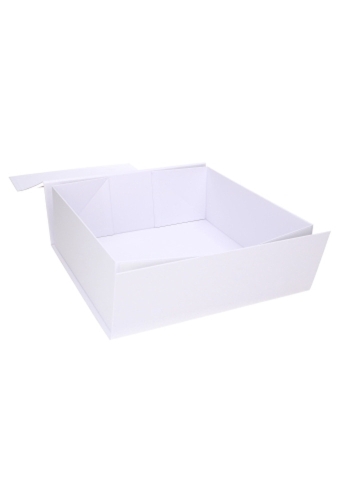 Luxe Magneetdozen Venetie Wit Mat Digitaal Bedrukt 25x25x9cm 25stuks