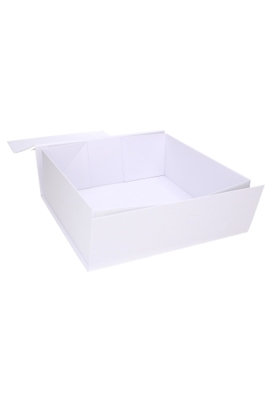 Luxe Magneetdozen Venetie Wit Mat Digitaal Bedrukt 25x25x9cm 25stuks