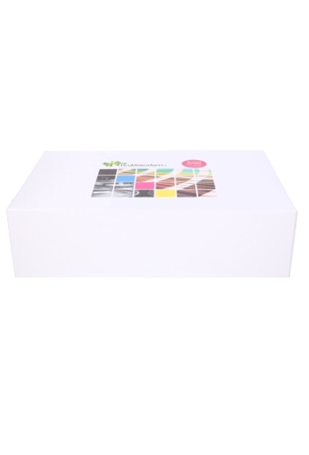Luxe Magneetdozen Venetie Wit Mat Digitaal Bedrukt 44x30x12cm 10stuks