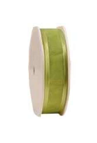 Luxe Organza Lint Met Satijnen Rand Licht Groen 25mm x 25meter