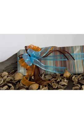 Luxe Organza Lint Met Satijnen Rand Zilver 25mm x 25meter