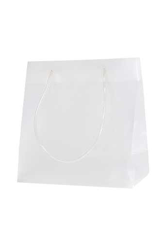 Luxe Plastic Draagtassen Transparant Lesse 25x10x25cm 100stuks