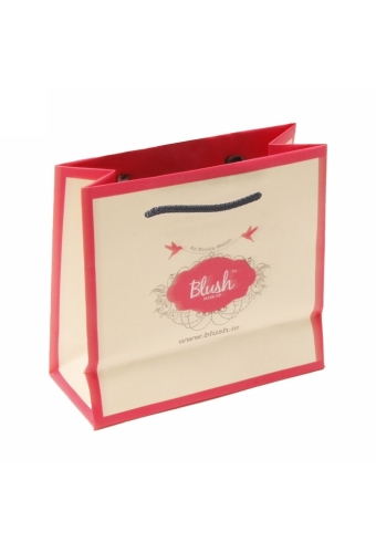 Luxe Tassen Bedrukken Met Logo 170GRAM & Koord 16x7x15cm