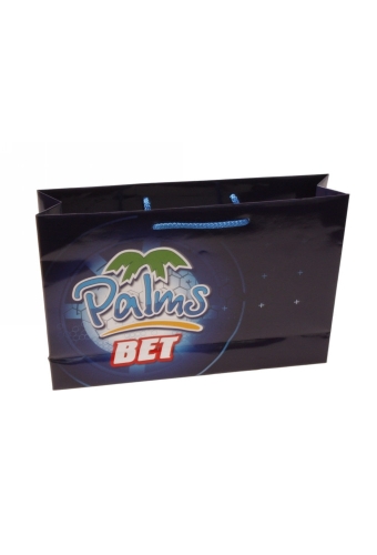 Luxe Tassen Bedrukken Met Logo 170GRAM & Koord 37x9x24cm