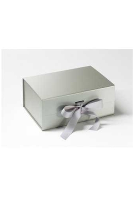 Luxueuze Magneetdozen Diamond & Satijn Zilver Mat 22x16x9.5cm 12st
