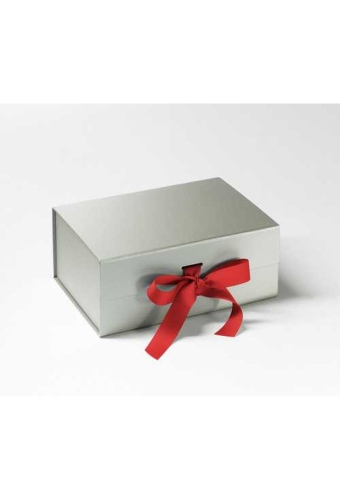 Luxueuze Magneetdozen Diamond & Satijn Zilver Mat 22x16x9.5cm 12st