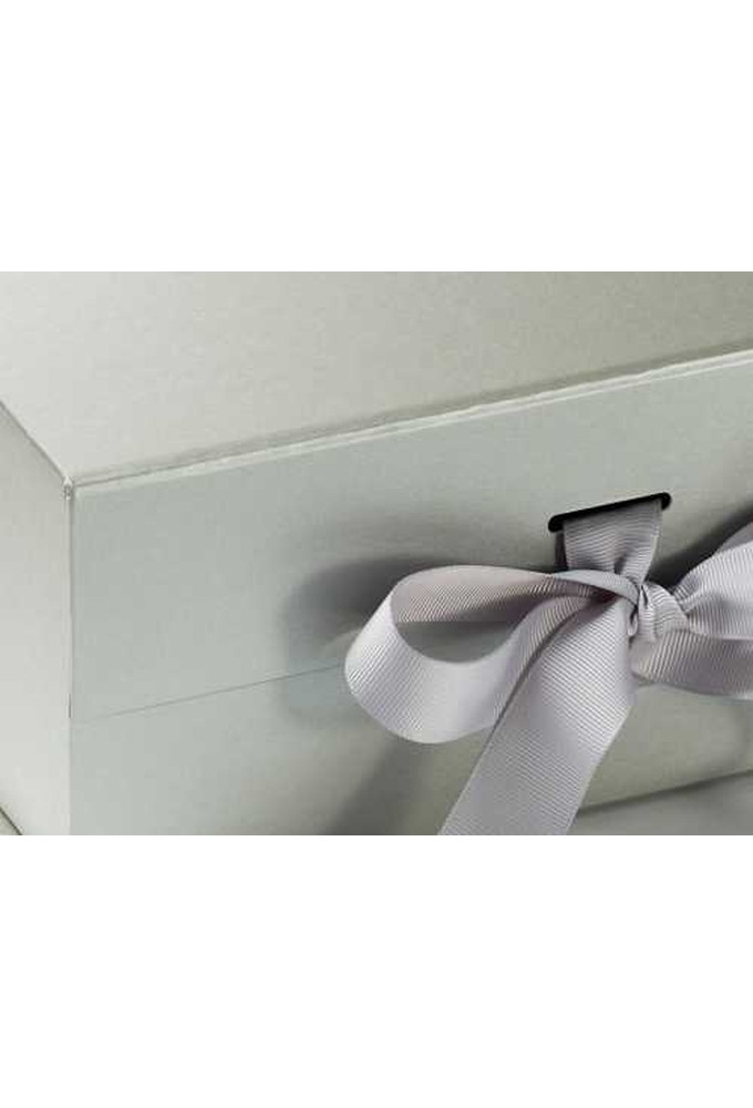 Luxueuze Magneetdozen Diamond & Satijn Zilver Mat 22x16x9.5cm 12st
