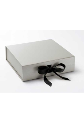 Luxueuze Magneetdozen Diamond & Satijn Zilver Mat 28.5x29x8.7cm 12st