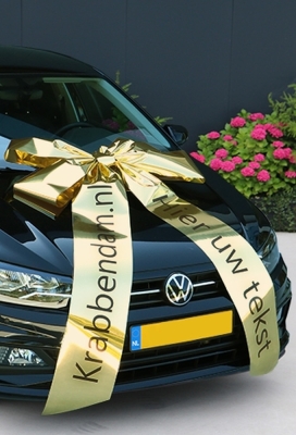 Magnum Autostrik Livorno Goud Bedrukt Met Tekst 90x60+100 cm