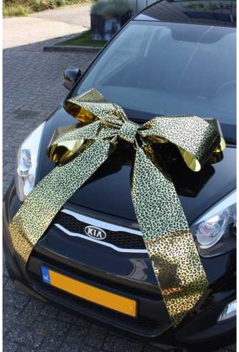 Magnum Autostrik Livorno Goud Met Panter Print Zwart 70x50+60cm