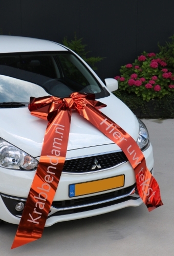 Magnum Autostrik Livorno Oranje Bedrukt Met Tekst 70x50+90cm