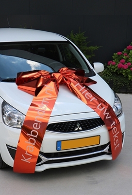 Magnum Autostrik Livorno Oranje Bedrukt Met Tekst 90x60+100cm
