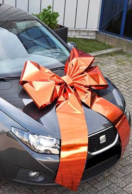 Magnum Autostrik Livorno Oranje Bedrukt Met Tekst 90x60+100cm
