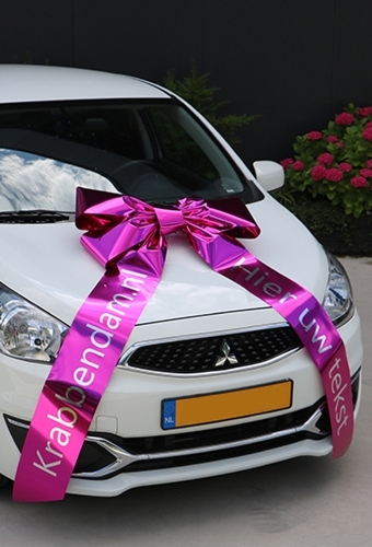 Magnum Autostrik Livorno Pink Bedrukt Met Tekst 70x50+90cm