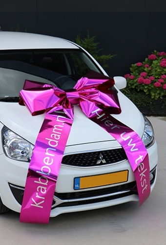 Magnum Autostrik Livorno Pink Bedrukt Met Tekst 90x60+100cm