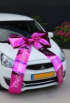 Magnum Autostrik Livorno Pink Bedrukt Met Tekst 90x60+100cm