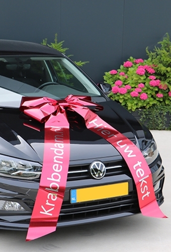 Magnum Autostrik Livorno Rood Bedrukt Met Tekst 70x50+90cm