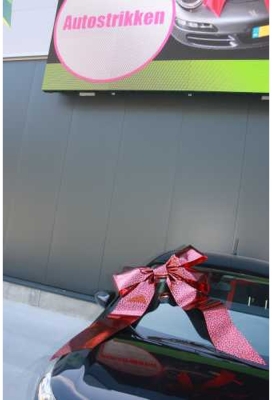 Magnum Autostrik Livorno Rood Met Panter Print Zwart 70x50+60cm